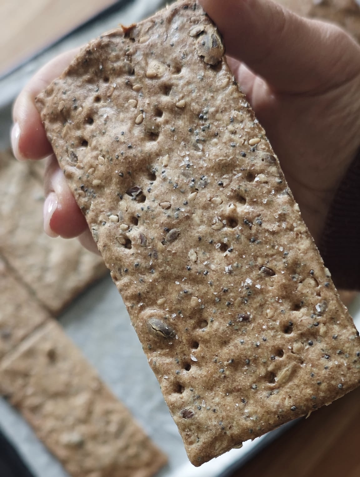 Crackers Integrali ai Semi🤎 — Ricetta Sfizi di afuocolento